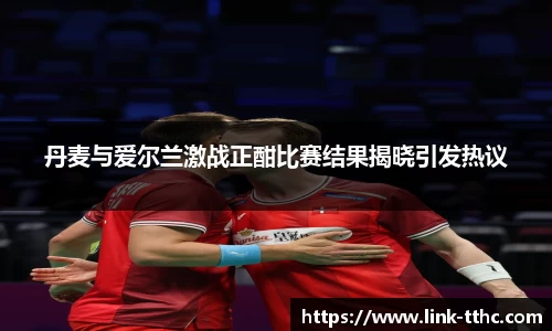 丹麦与爱尔兰激战正酣比赛结果揭晓引发热议