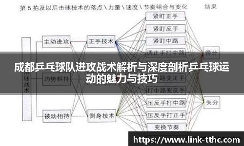 成都乒乓球队进攻战术解析与深度剖析乒乓球运动的魅力与技巧